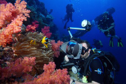 Jim Garland shooting on the Numidia. by Dray Van Beeck 